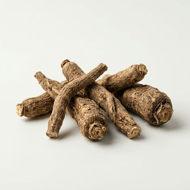 Ashwagandha Extract